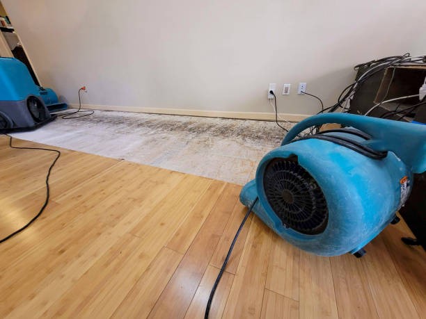 Professional Water Damage Repair technician working in Woodville, CA